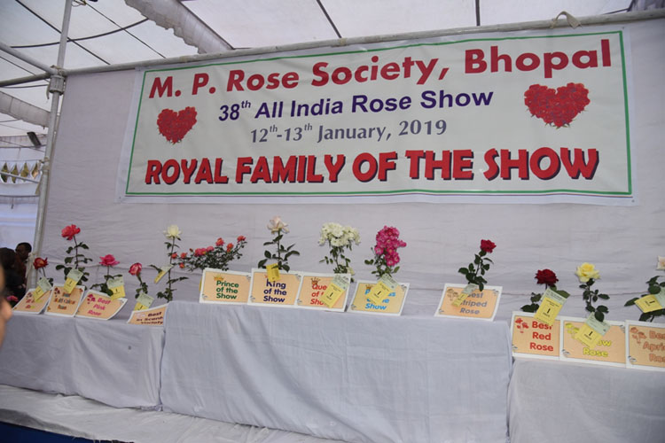 MPRS :: Rose Show